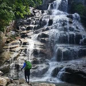 Meet your Posher, Wesley